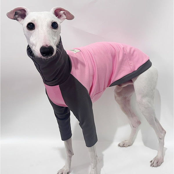 Cotton T-shirts Tee Shirts for Italian greyhound Whippet Dog Clothes