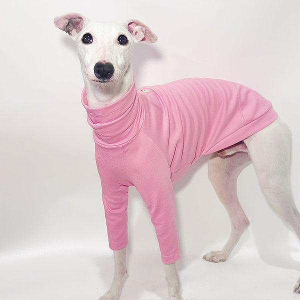 Cotton T-shirts Tee Shirts for Italian greyhound Whippet Dog Clothes