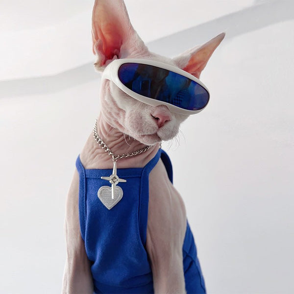 Dog & Cat Astronaut Sunglasses