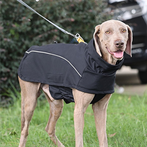 Dog Clothes Outdoor Raincoat Waterproof Windproof Jacket