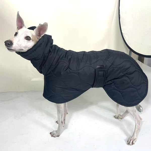 Dog Clothes Padded Coat Italian Greyhound Whippet