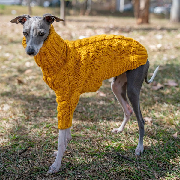 Dog Clothes Turtleneck Sweater Italian Greyhound Whippet