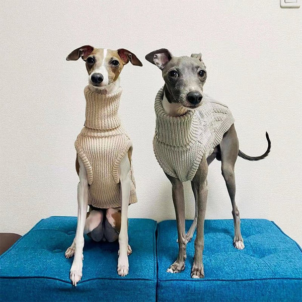 Dog Clothes Turtleneck Sweater Italian Greyhound Whippet