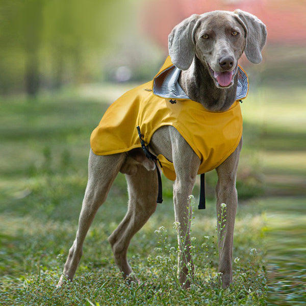 Dog Raincoat Waterproof Jacket