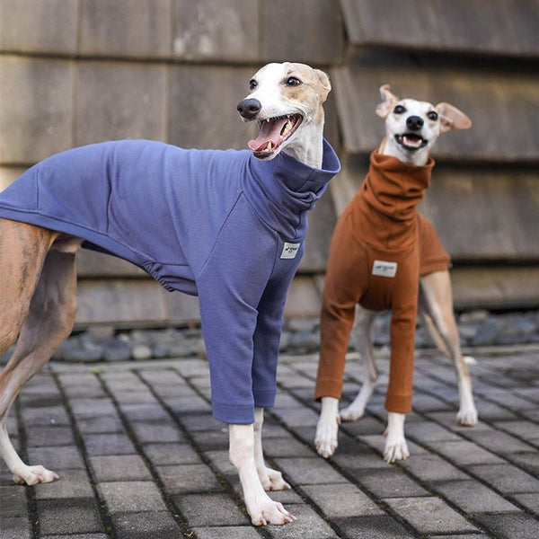 Dog Shirts Cotton Twill for Italian Greyhound Whippet