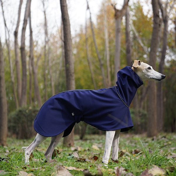 Fleece Raincoat Jacket for Italian greyhound Whippet