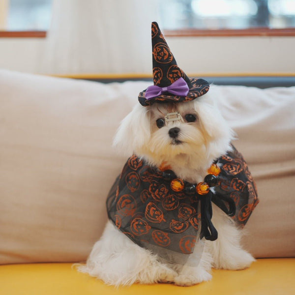 Halloween Dog Costumes Witch Cloak Wizard Hat