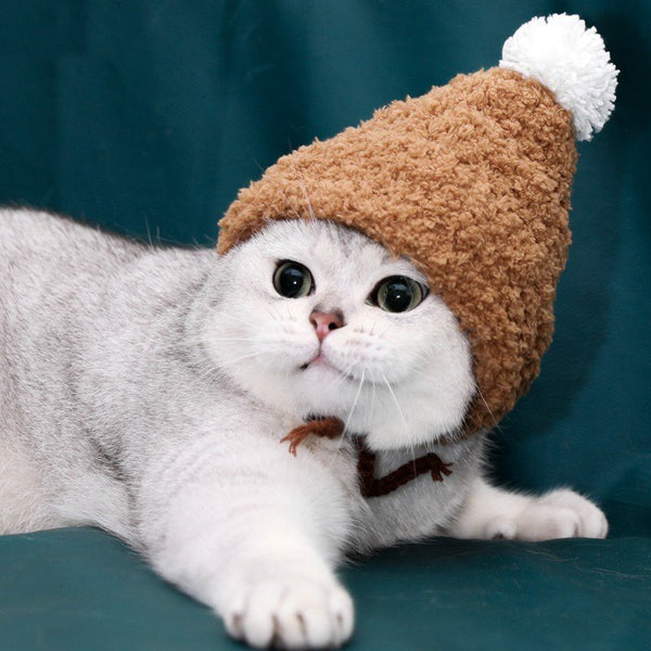 Hand Made Knitting Cat Hat