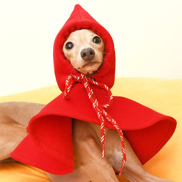 Hat Cloak for Italian Greyhound Whippet Dog