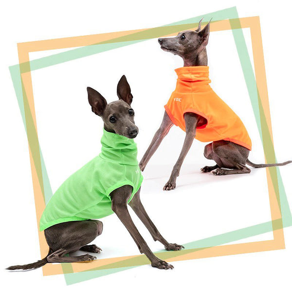 High Neck Sport Sleeveless Shirt Italian greyhound Whippet Dog Clothes