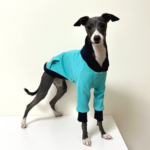 Hoodie Italian Greyhound Whippet Dog Clothes