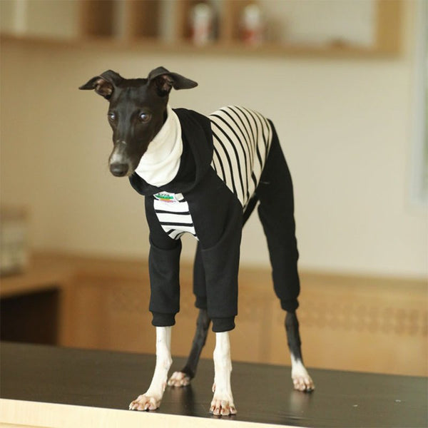 Hoodie Onesie Italian Greyhound Whippet Dog Clothes