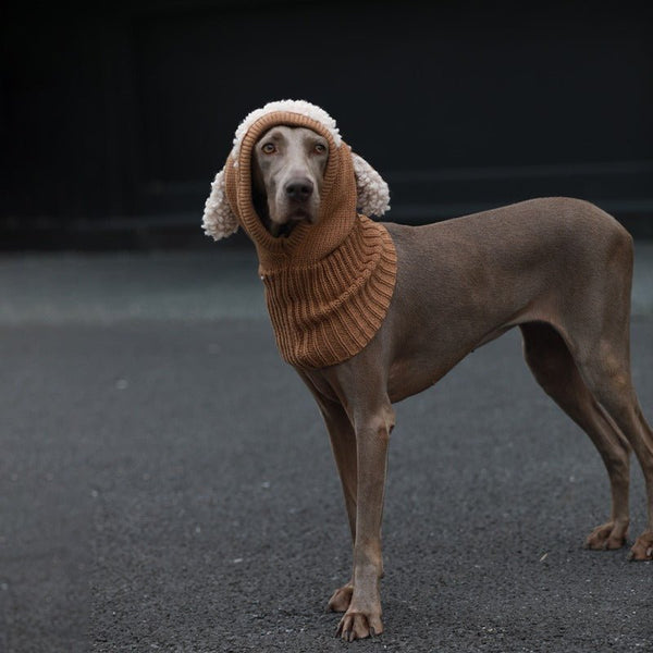 Knitting Warm Freeze-proofing Ear Protection Dog Hat