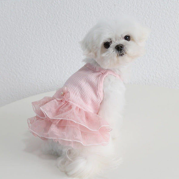 Layered Lace Dress  Dog Clothes