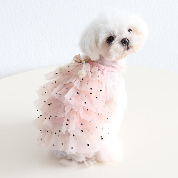 Dots Layered Lace Dress  Dog Clothes