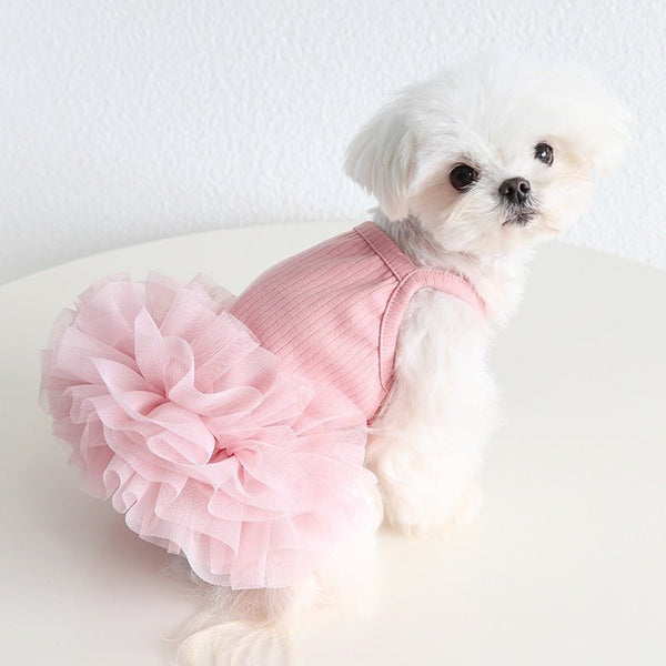 Layered Lace Princess Dog Dress Dog Clothes