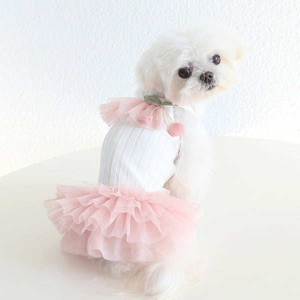 Layered Lace Princess Dog Dress Dog Clothes