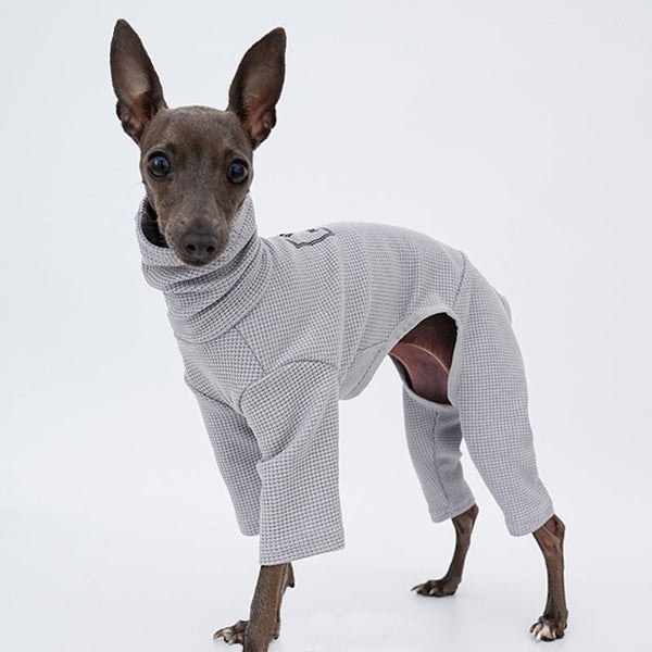 Onesie for Italian greyhound Whippet Dog Clothes