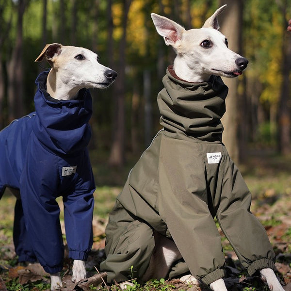 Outdoor Jacket Raincoat for Italian greyhound Whippet