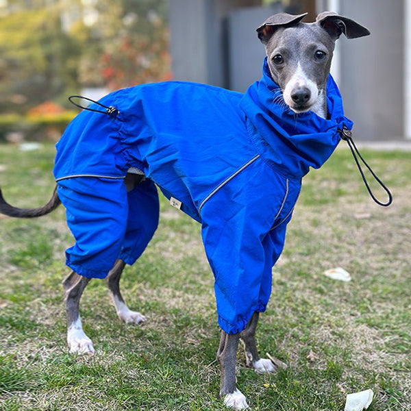 Outdoor Raincoats Waterproof for Italian greyhound Whippet Dog Clothes