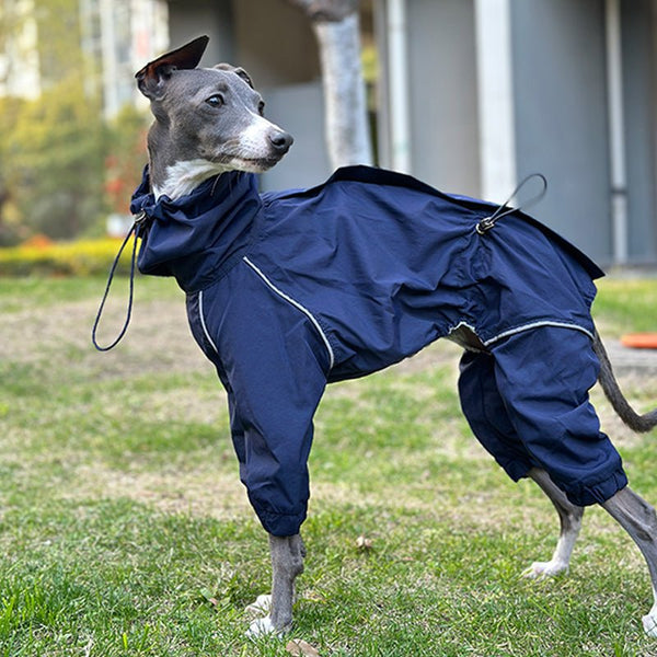 Outdoor Raincoats Waterproof for Italian greyhound Whippet Dog Clothes