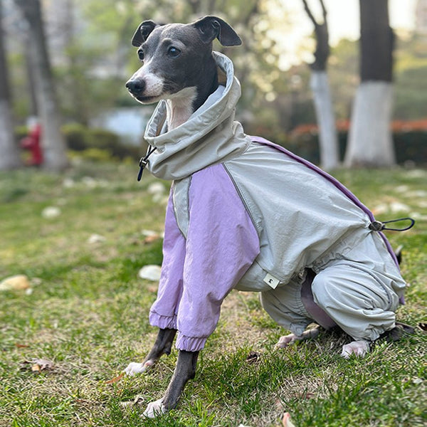 Outdoor Raincoats Waterproof for Italian greyhound Whippet Dog Clothes