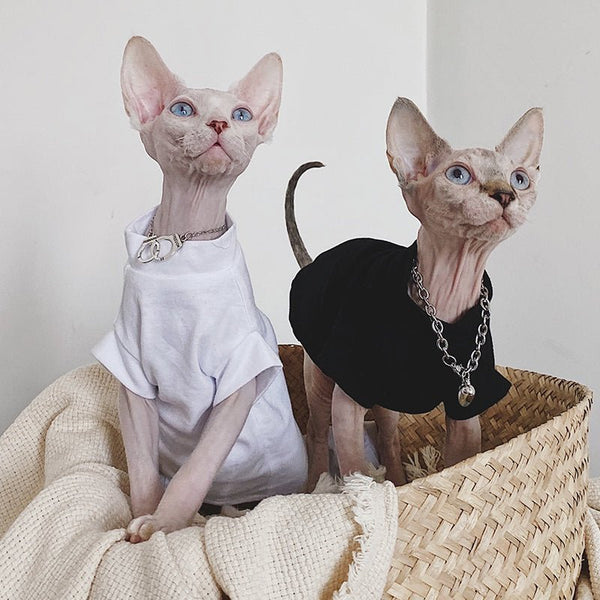 Plain Cotton T-shirt Sphynx Cat Clothes