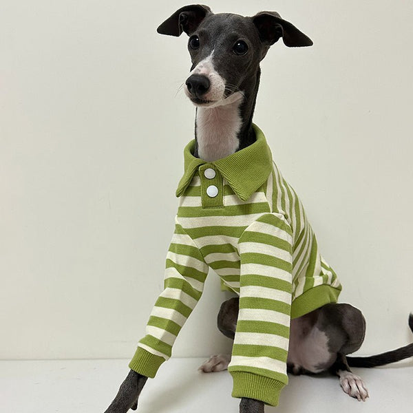 Polo Stripe Shirts for Italian Greyhound Whippet