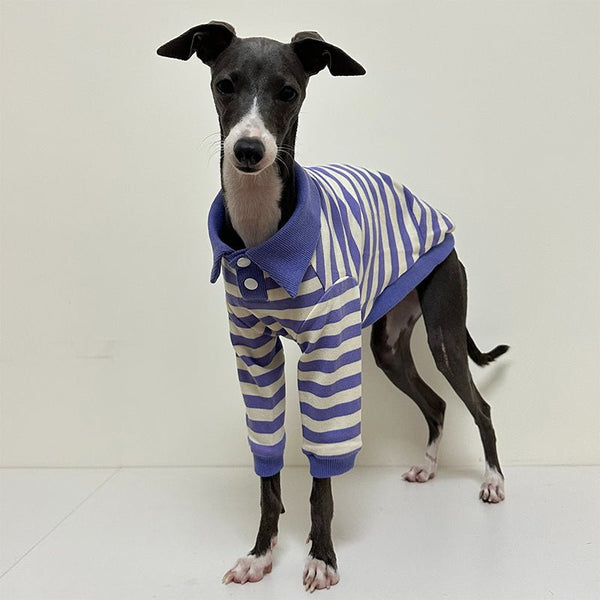 Polo Purple Stripe Shirts for Italian Greyhound Whippet