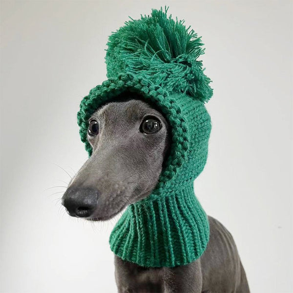 Pom Beanie Knitted Dog & Cat Hat Green