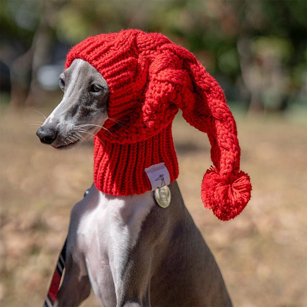 Pom Beanie Knitted Dog & Cat Hat