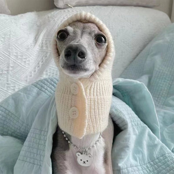 Pom Beanie Knitted Dog & Cat Hat