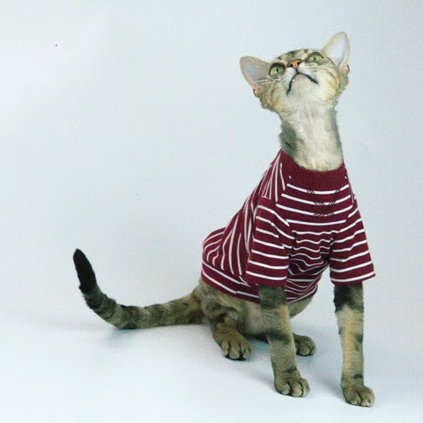 Pullover Stripes Shirt Sphynx Cat Clothes