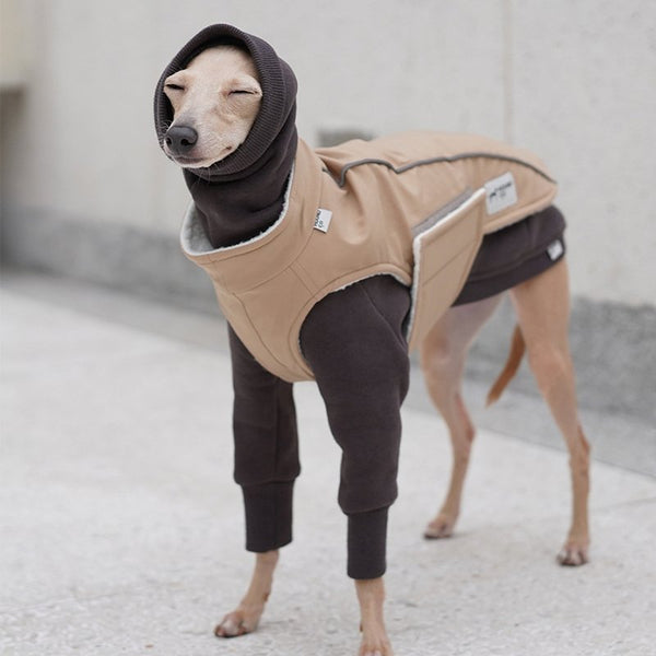 Sherpa Fleece Vest Waterproof Windproof for Italian greyhound Whippet