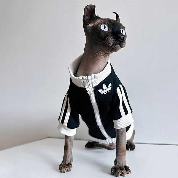 Sport Zip Jacket Casual Sphynx Cat Clothes