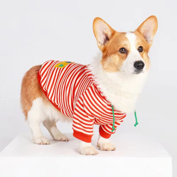 Stripe Hoodie Corgi Dog Clothes