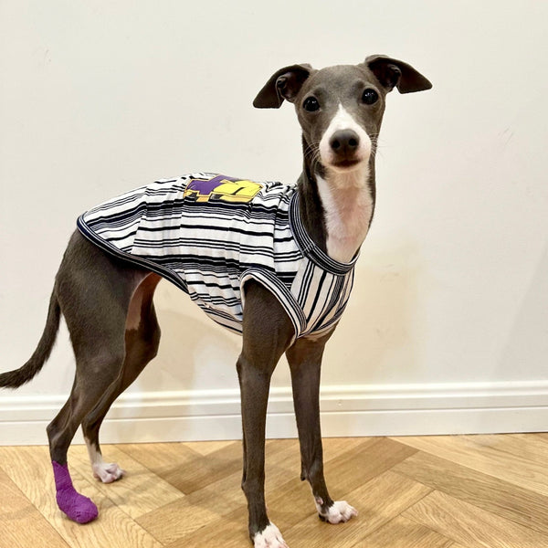 Cotton Stripe Shirt Tank Top Italian Greyhound Whippet Dog Clothes