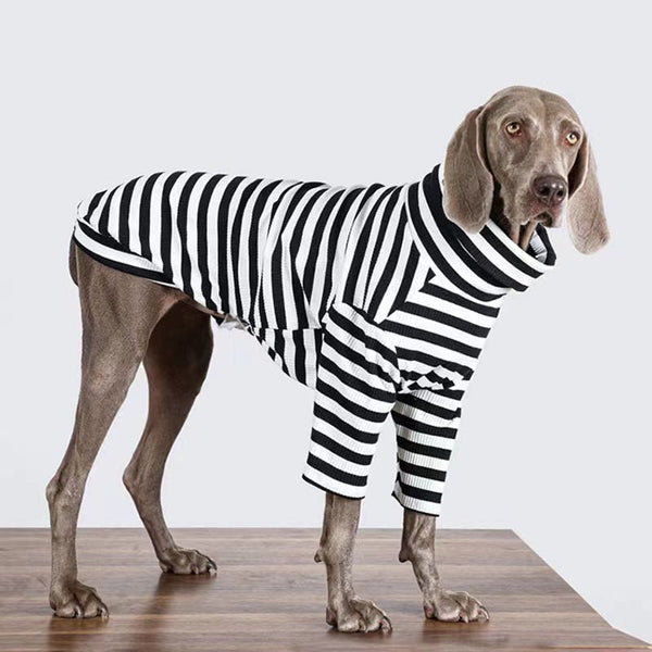 Stripe T Shirt Top Big Dog Clothing