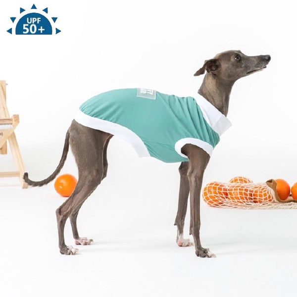 Summer Breathable T Shirt Tank Top Italian Greyhound Whippet Dog Clothes