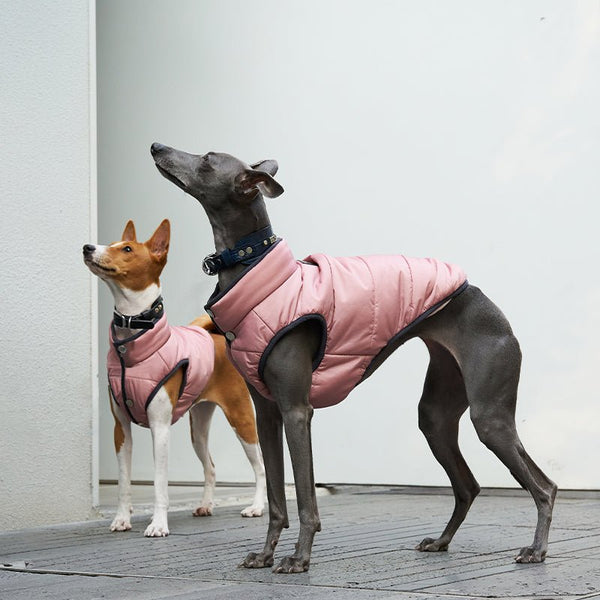 Tephra Down Padded Vest Warm Coat Italian Greyhound Whippet Dog Clothes