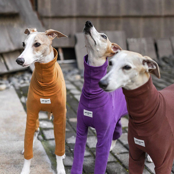 Turtleneck Onesie Italian Greyhound Whippet Dog Clothes