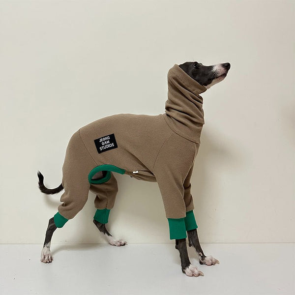 Turtleneck Onesie Sweater for Italian Greyhound Whippet Dog Clothes