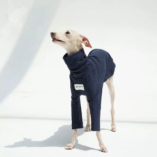 Turtleneck Shirts for Italian Greyhound Whippet Dog Clothes