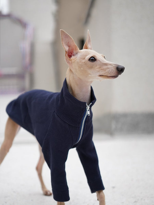 Turtleneck Zip Shirts for italian greyhound whippet