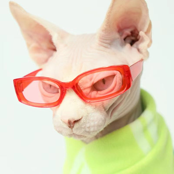 Unique Stylish Chic Dog & Cat Glasses