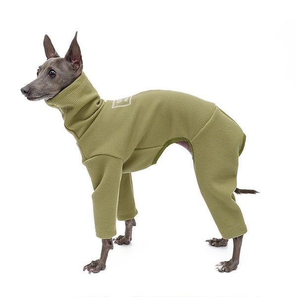 Waffle Onesie Italian Greyhound Whippet Dog Clothes