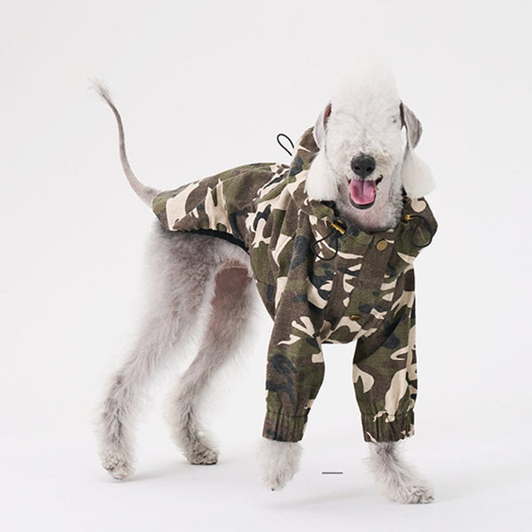 Windproof Jacket Bedlington Dog Clothes