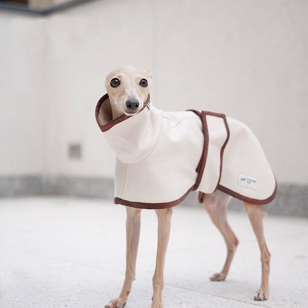 Windproof Trench Coat Italian Greyhound Whippet Dog Clothes