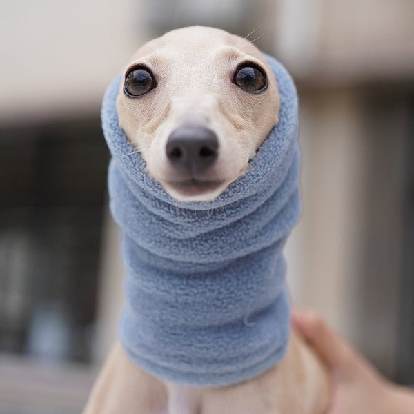 Winter Scarf for Italian greyhound Whippet